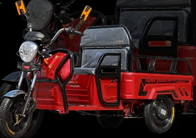 DLX C01 flatbed cargo tricycle, front-side view